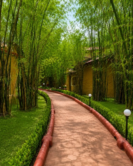 Bamboo-lined garden walkway at Mahua Tiger Resort Kanha